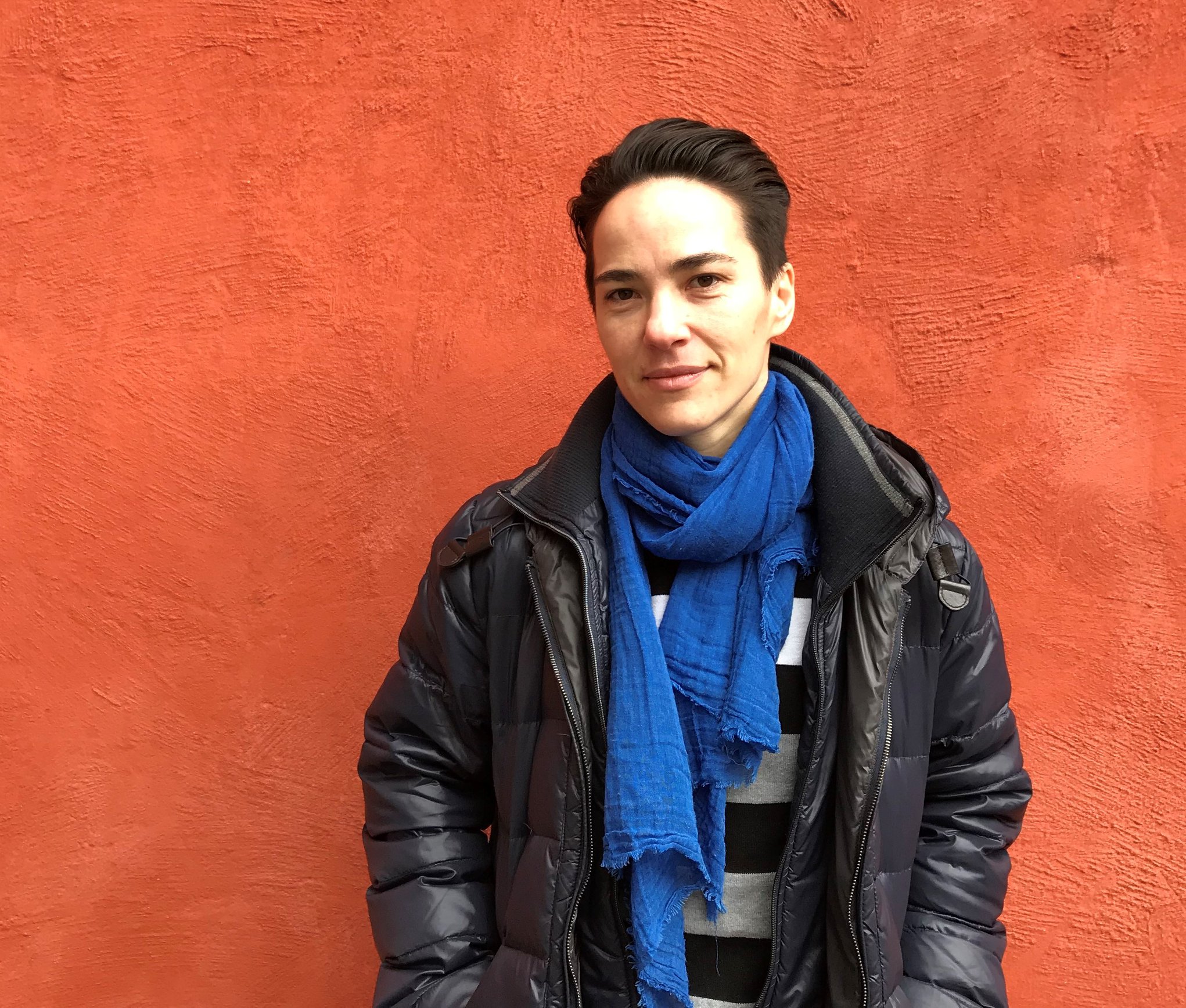 Investigate attack on Olena Shevchenko - Norwegian Helsinki Committee